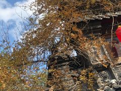 -老张烤羊(王哥庄店)