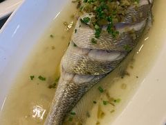 深海大黄鱼-江南村酒家