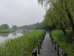 -苏州太湖湖滨国家湿地公园