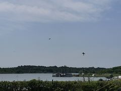 -梁子湖东篱老屋生态庄园