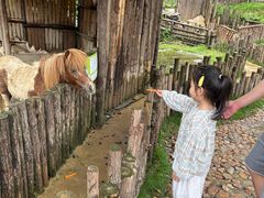 -泉州海丝野生动物世界