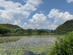 -青岩古镇