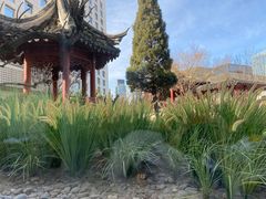 -九献创意菜·牛排馆(亮马河花园店)