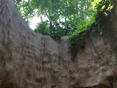-南山植物园