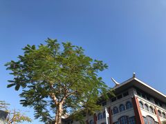 -厦门市图书馆(集美新城馆区)