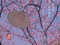 -静安雕塑公园
