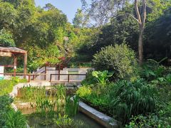 -石排湾郊野公园