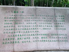 -八大关景区