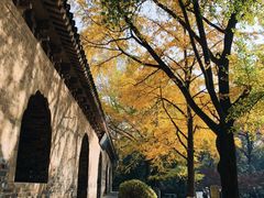 -灵谷景区