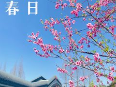 -蜀绣公园