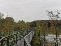 -昆山城市生态森林公园