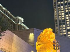 -影汇之星8字形摩天轮