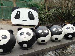 -都江堰中华大熊猫苑