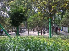 -莲湖公园