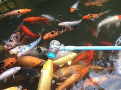 iphone_upload_pic-平乐古镇