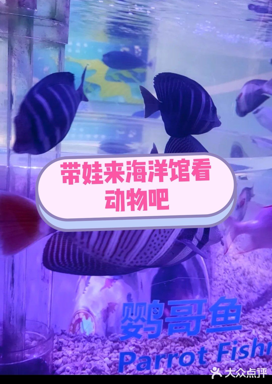 听说夏天遛娃和海洋馆更配哦！