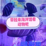 听说夏天遛娃和海洋馆更配哦！