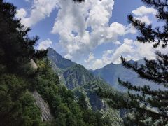 -陕西省红河谷森林公园