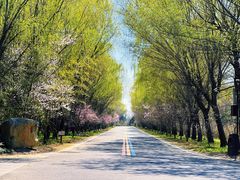-同里国家湿地公园