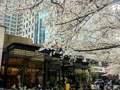 -玛格萝妮比萨屋(四平店)