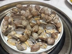 蒸花蛤-望海臻鲜·海鲜餐厅