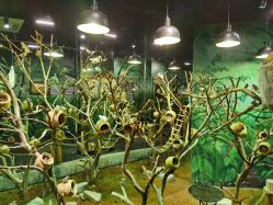 -Zoolung Zoolung动物主题公园(海信广场店)