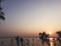 -宝安西湾红树林湿地公园