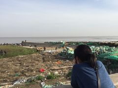 -南汇嘴观海公园