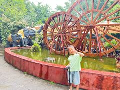 -品德宏·孔雀宴的发源地(金塔园店)