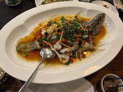 鲜花椒蒸桂花鲈-猪肉婆私房菜(容桂总店)
