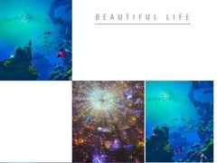 -海合安天津极地海洋公园
