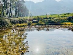-中国茶叶博物馆(双峰馆区)