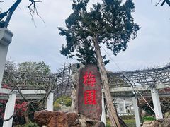 -无锡梅园公园