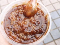 -潘玉麟糖粥