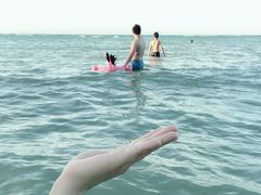 -查汶海滩