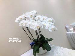 点击看大图 -DMK酶疗中心·BeautyYoung舒妍科技美肤