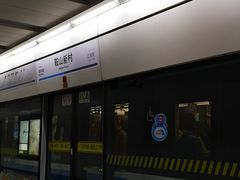 -鞍山新村(地铁站)