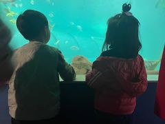 -苏州海洋馆