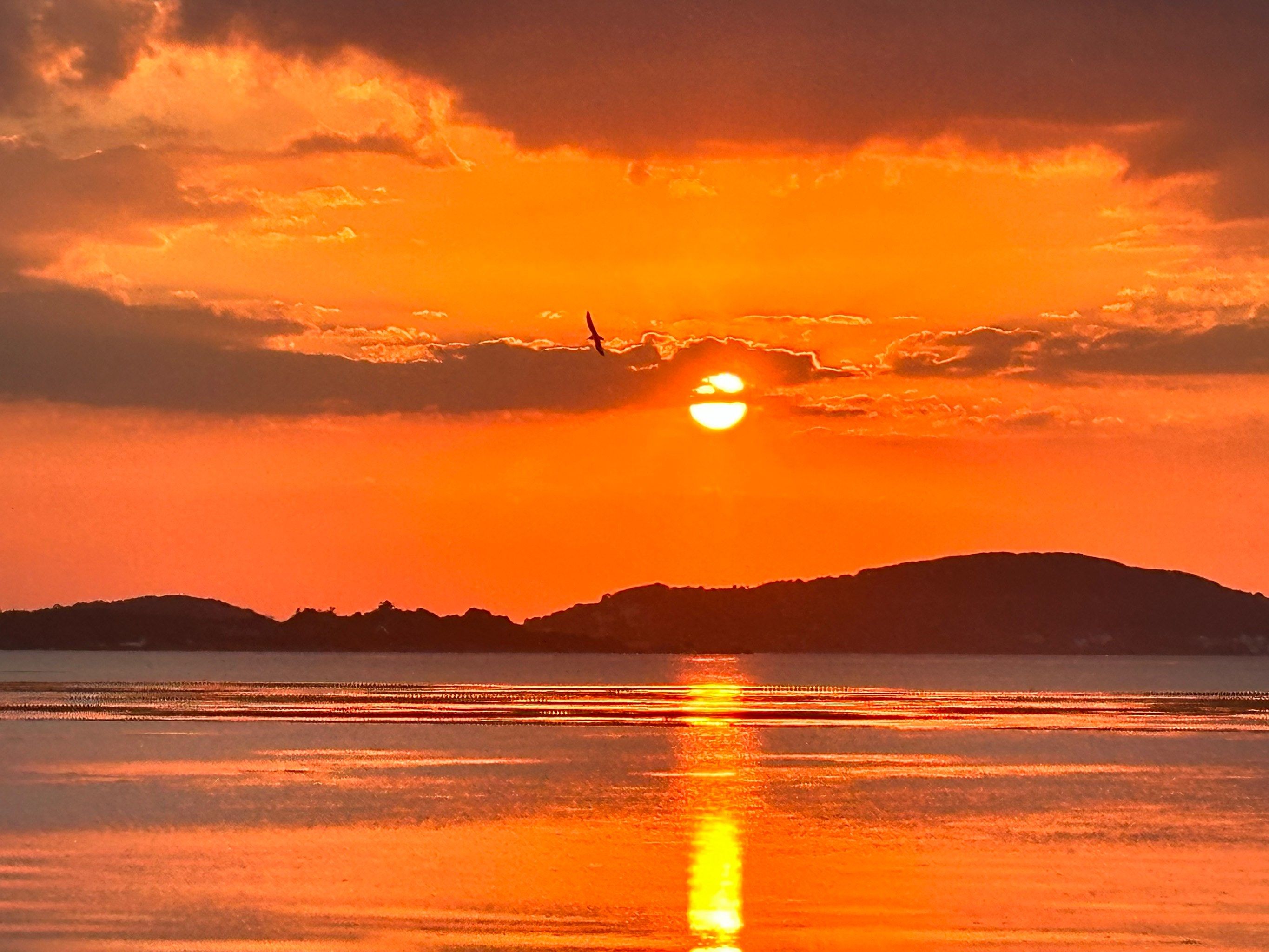 落霞与孤鹜齐飞,秋水共长天一色