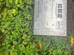 -广州神农草堂中医药博物馆