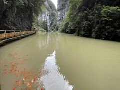 -龙水峡地缝景区