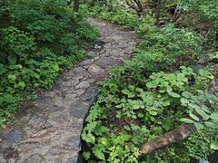 -灵山