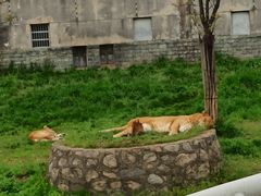 -西安秦岭野生动物园