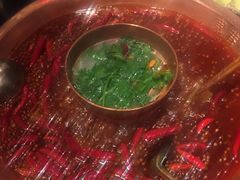 -宽巷子成都火锅(南站店)
