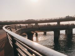 -演武大桥观景平台