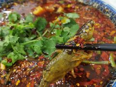 -胖大姐黄辣丁鱼庄(新津店)