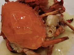 -碧丽宫大酒店(召稼楼店)