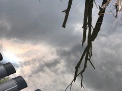 -西湖风景区-江洋畈生态公园