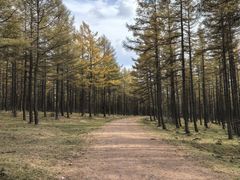 -塞罕坝国家级自然保护区