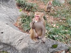 -千岛湖东南湖区